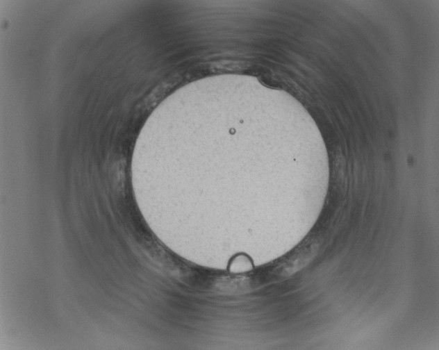 X0000067520271200605051902