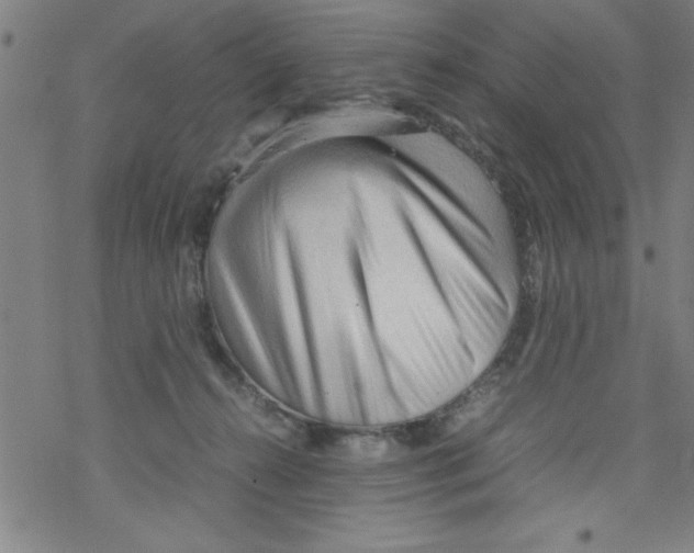 X0000067520272200605051902