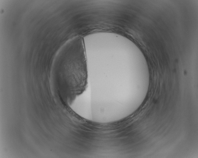 X0000067520273200605051902