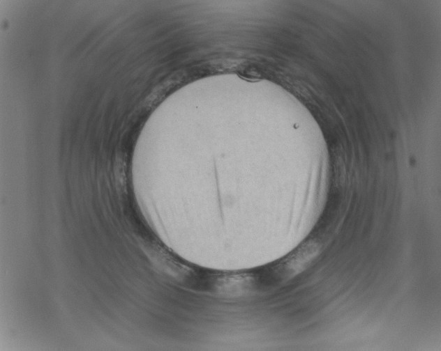 X0000067520274200605051902