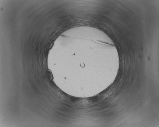 X0000067520276200605051902