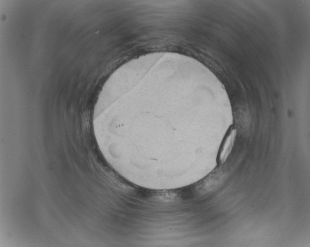 X0000067520278200605051902