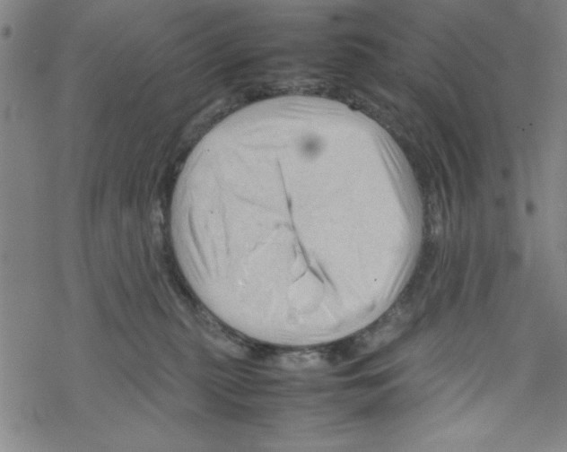 X0000067520279200605051902