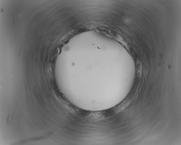 X0000067520280200605051902