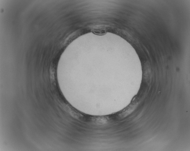 X0000067520282200605051902