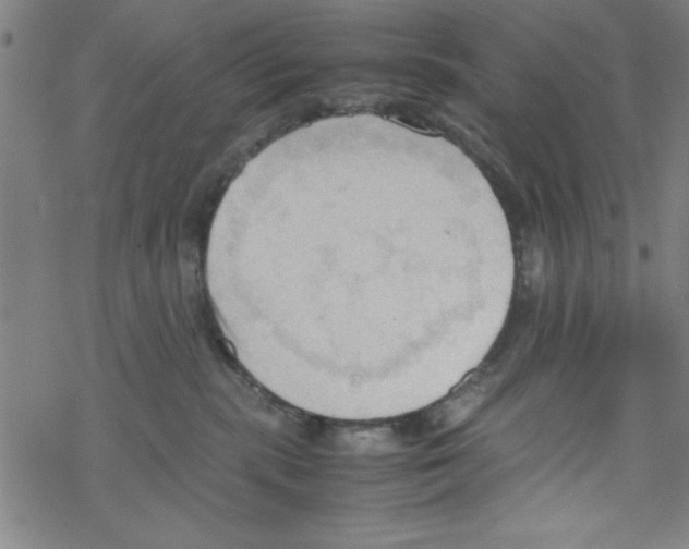 X0000067520283200605051902