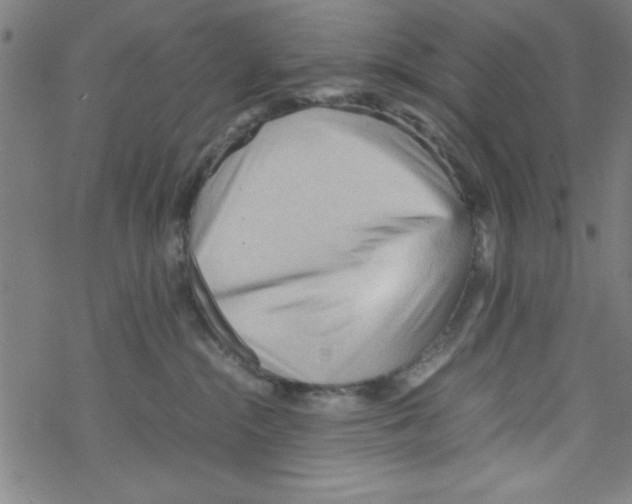 X0000067520284200605051902