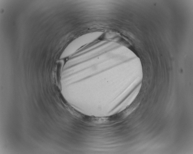 X0000067520288200605051902