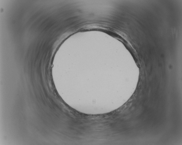 X0000067520289200605051901