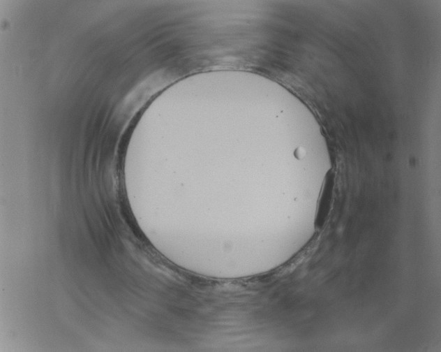 X0000067520290200605051901