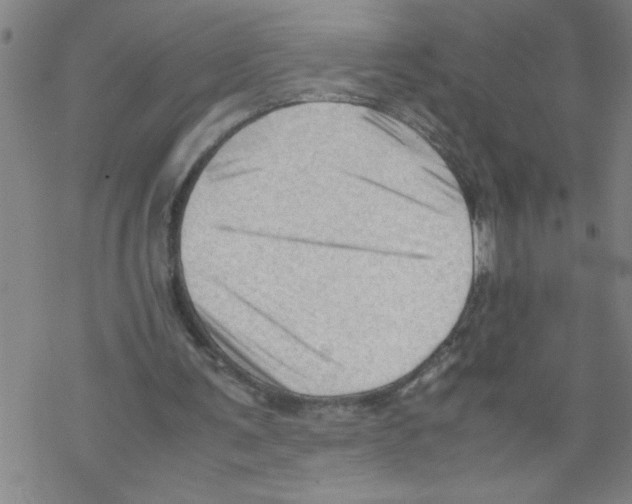 X0000067520291200605051901