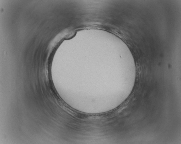 X0000067520294200605051901