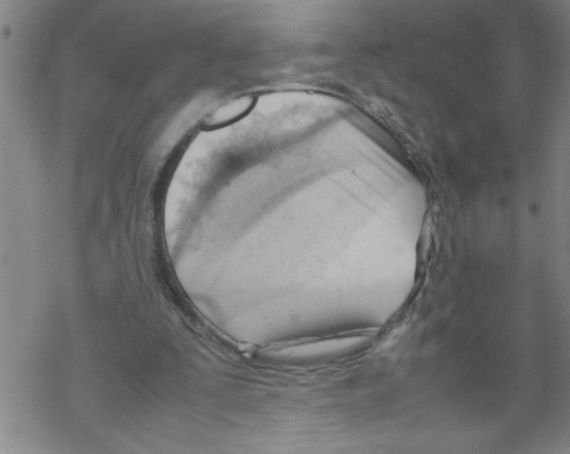 X0000067520295200605051901