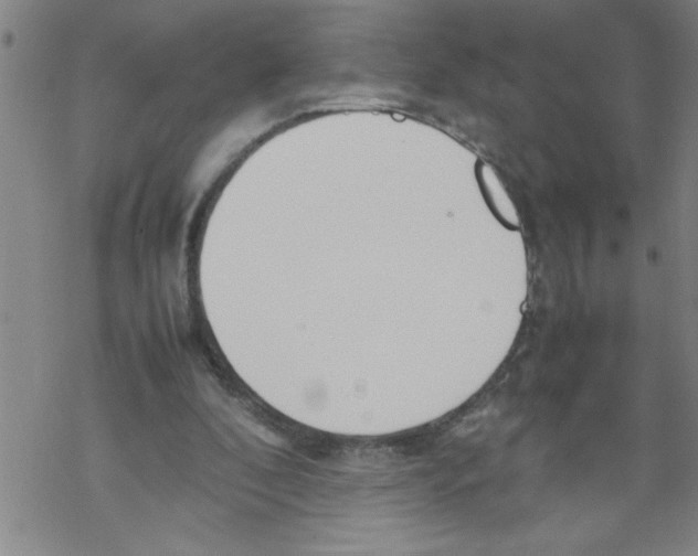 X0000067520296200605051901