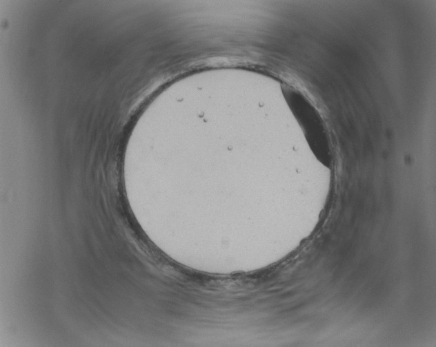 X0000067520297200605051901