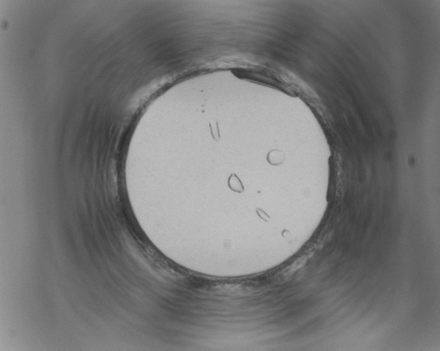 X0000067520298200605051901