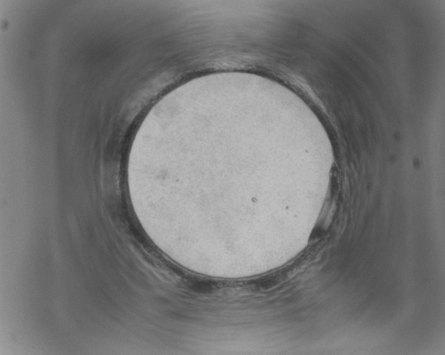 X0000067520299200605051901