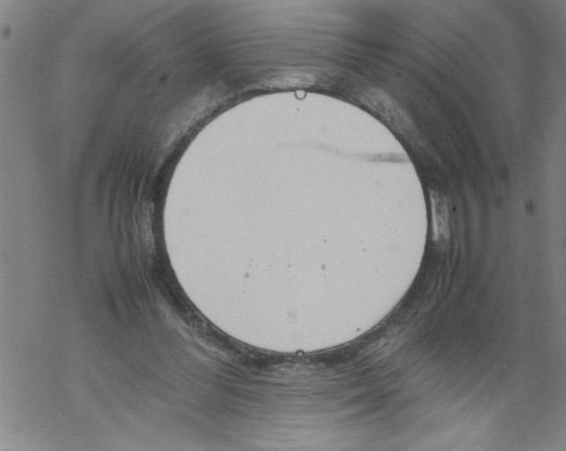 X0000067520300200605051901