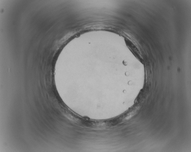 X0000067520301200605051901