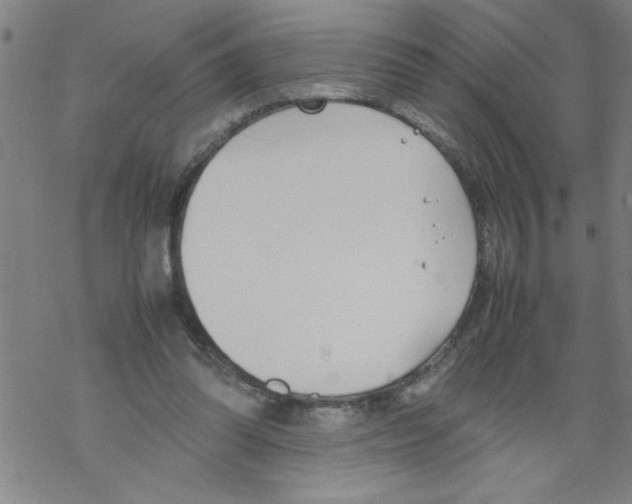 X0000067520302200605051901