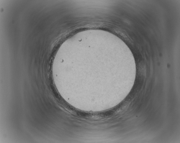 X0000067520303200605051901