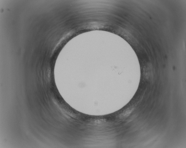 X0000067520304200605051901