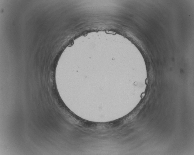 X0000067520305200605051901