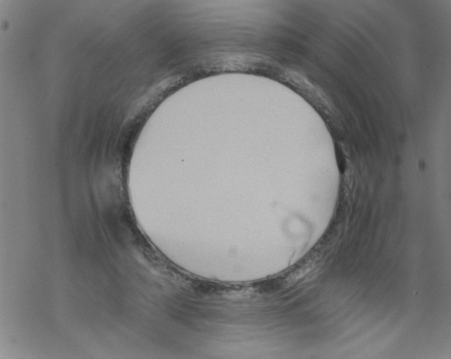 X0000067520306200605051901