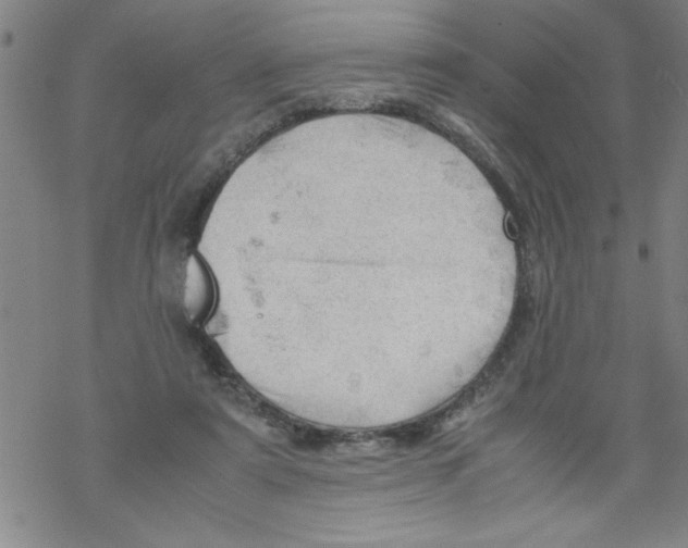 X0000067520307200605051901