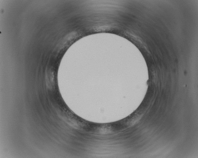 X0000067520308200605051901