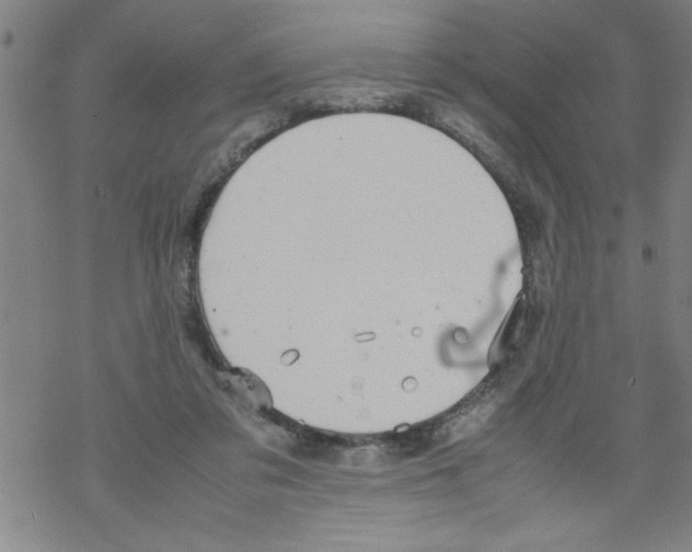 X0000067520309200605051901