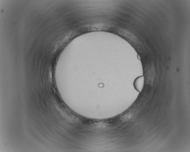 X0000067520310200605051901