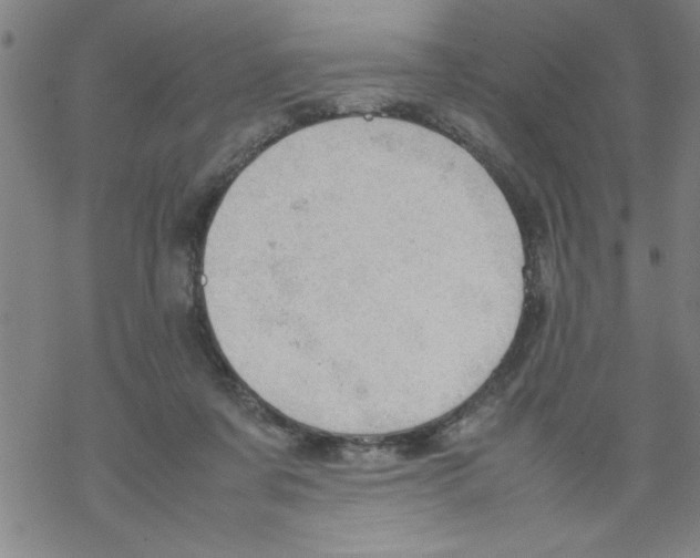 X0000067520311200605051901