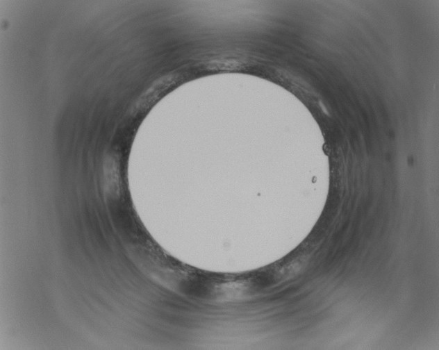 X0000067520312200605051901