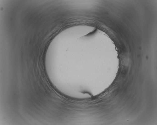 X0000067520313200605051901