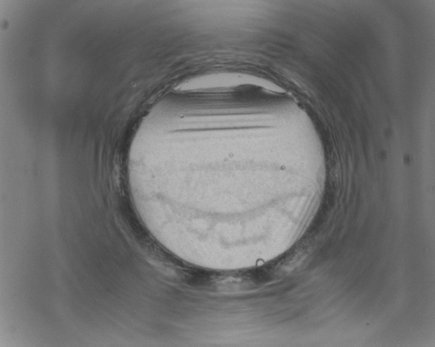 X0000067520315200605051901