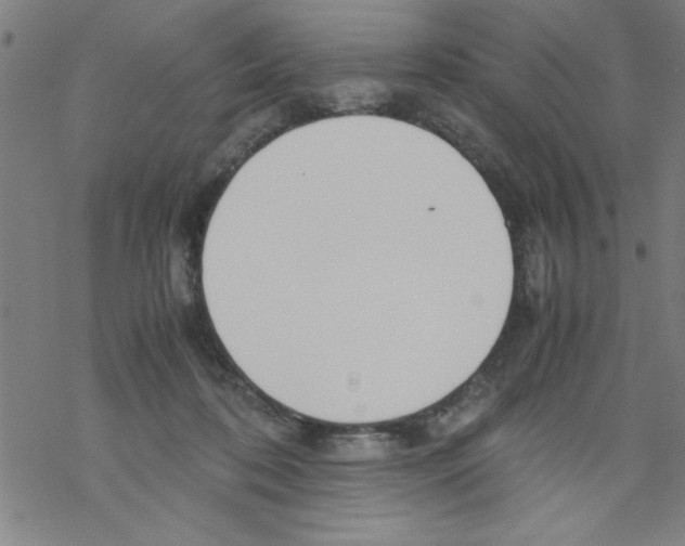 X0000067520316200605051901