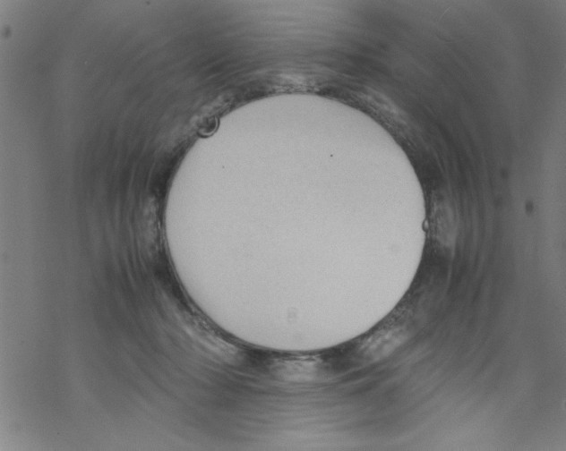 X0000067520318200605051901