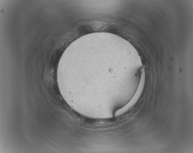 X0000067520319200605051901