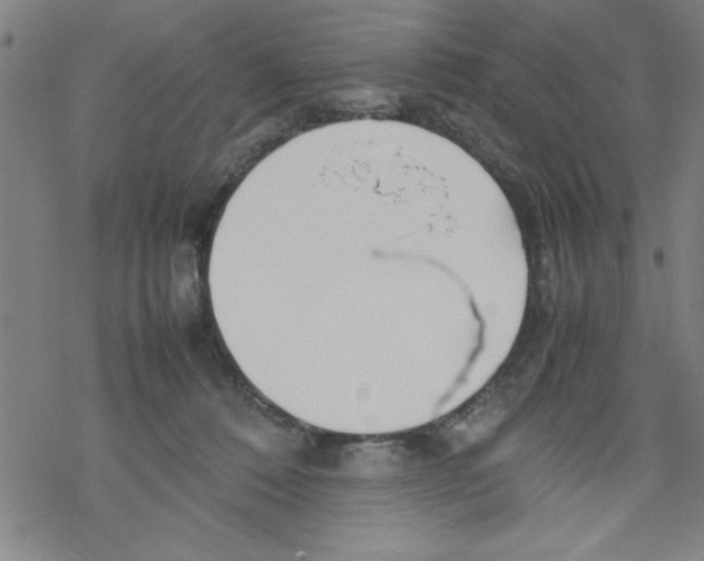 X0000067520320200605051901