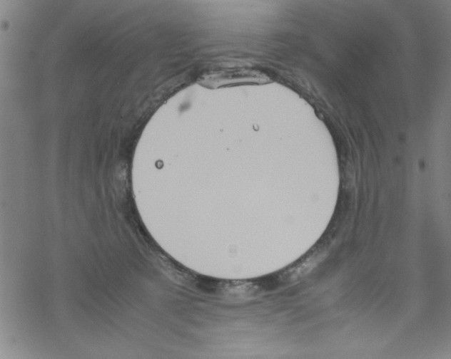 X0000067520321200605051901