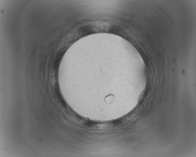 X0000067520323200605051901