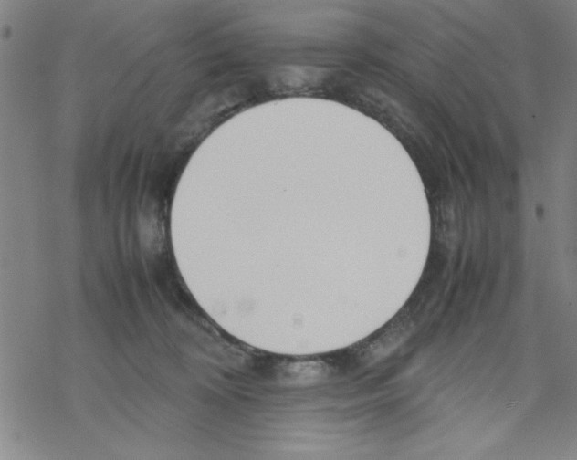 X0000067520324200605051901