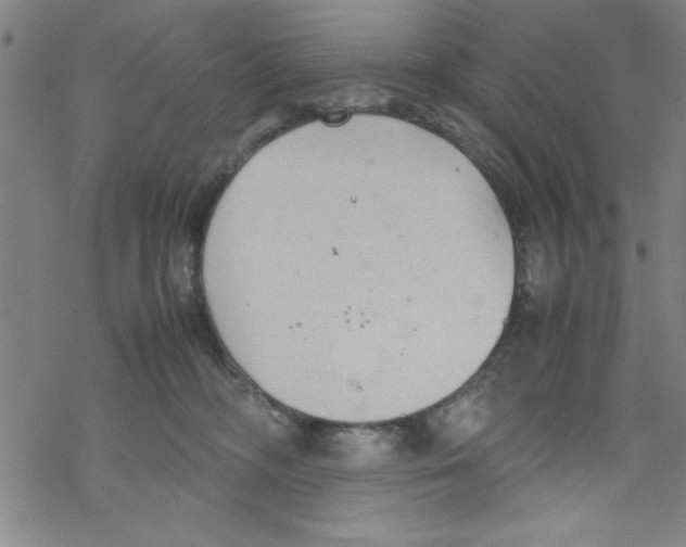 X0000067520326200605051901