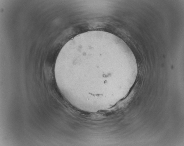 X0000067520327200605051901