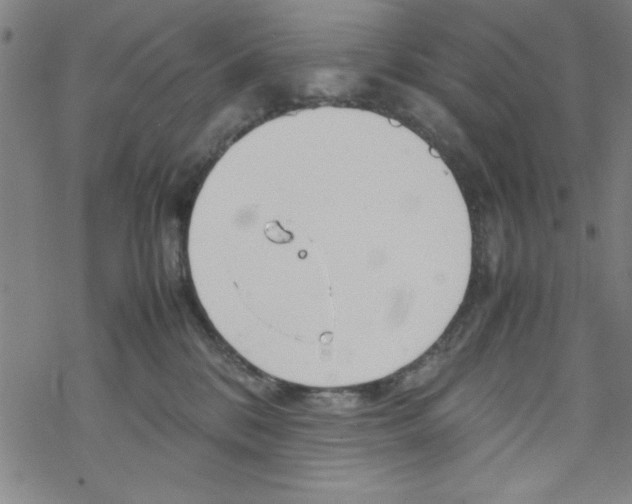 X0000067520328200605051901