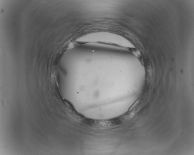 X0000067520329200605051901