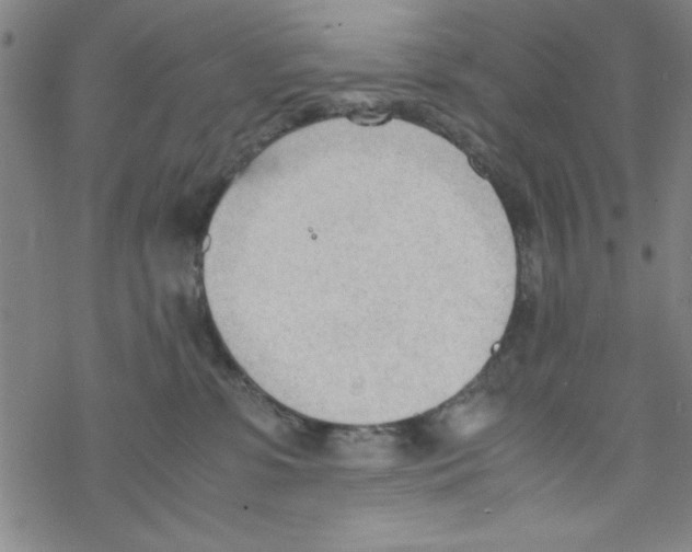 X0000067520331200605051901