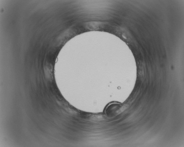 X0000067520332200605051901