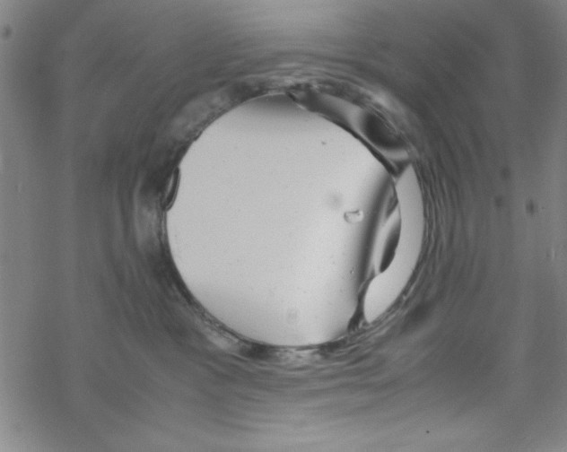 X0000067520333200605051901